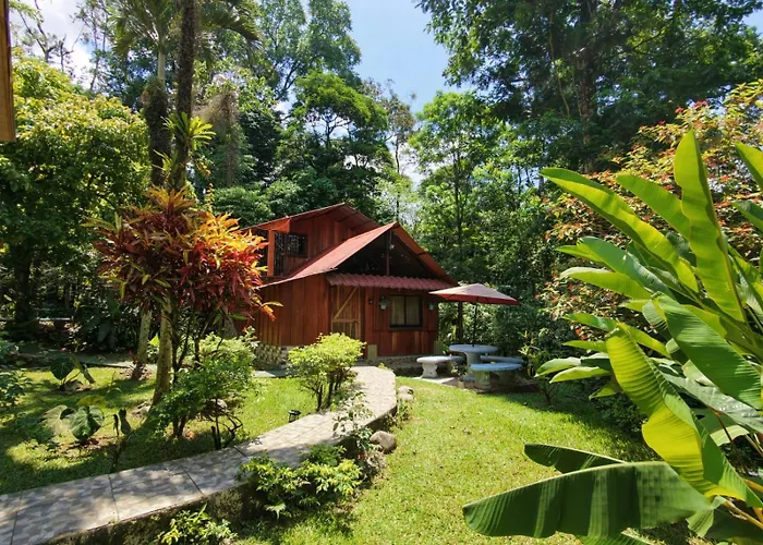 Tropical Forest Adventure Near Arenal Volcano